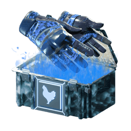 Chicken.gg Case