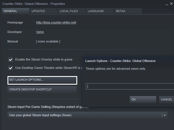 The CS:GO launch options interface