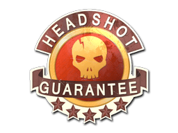 Headshot Guarantee CS:GO Skin
