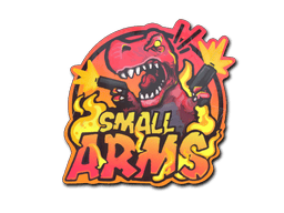Small Arms CS:GO Skin